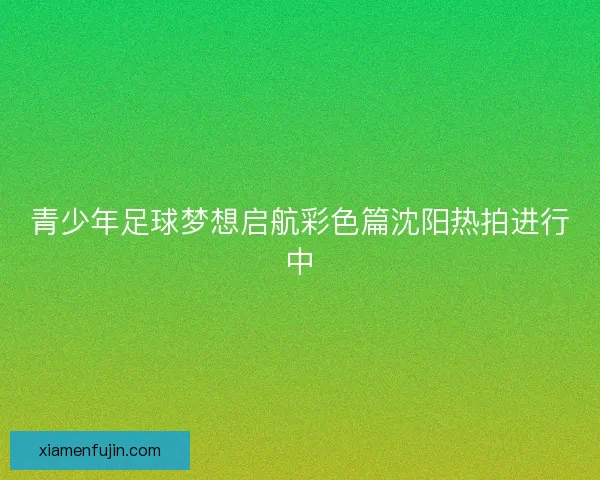 青少年足球梦想启航彩色篇沈阳热拍进行中 青少年足球梦想启航彩色篇沈阳热拍进行中