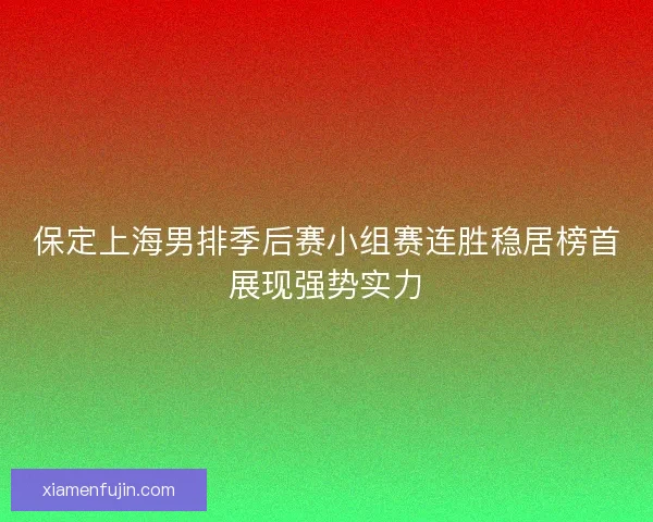 保定上海男排季后赛小组赛连胜稳居榜首展现强势实力